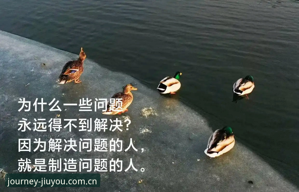 一个常见的错觉：赢了几场就以为行了